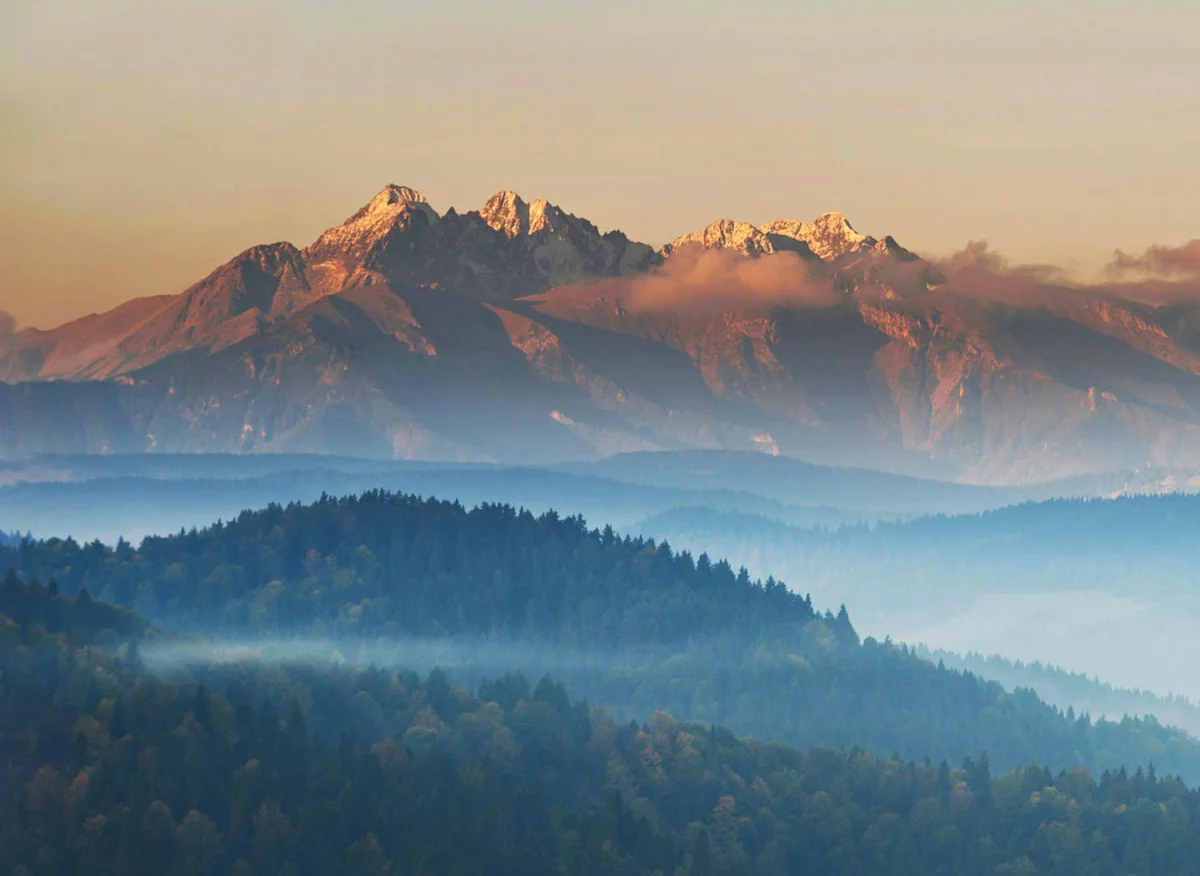 Czy są zmiany w prawie jak Portal medyczny?