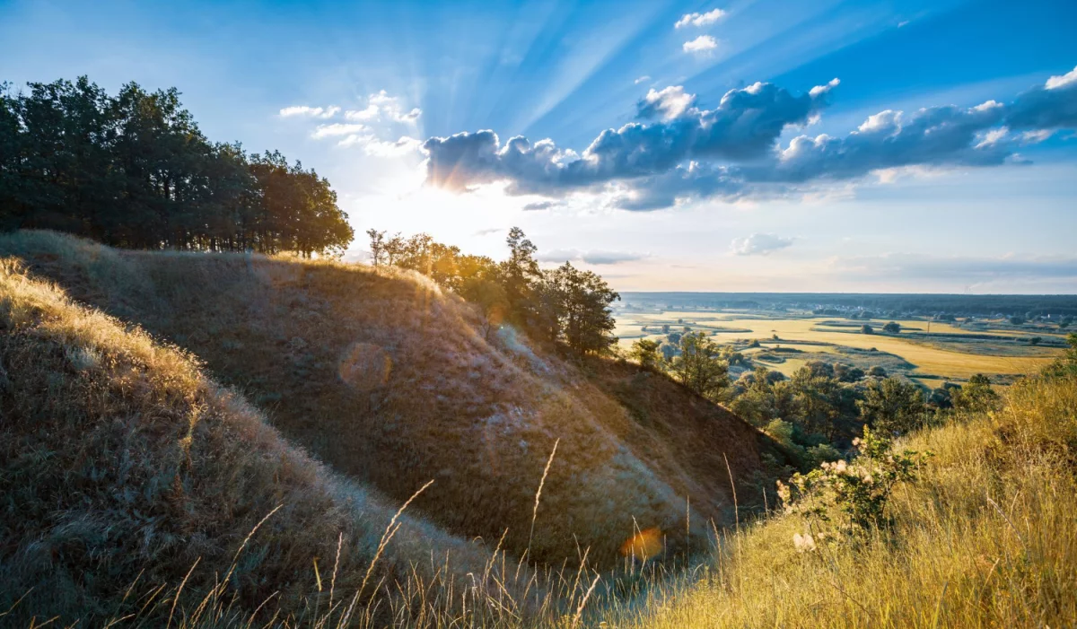 Krok Po Kroku Instrukcja Aby znaleźć dentystę w Cieszynie