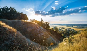 9 Wypowiedzi Ekspertów Na To Jak wyleczyć się
