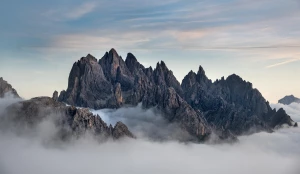 Szokujące 9 Metod Aby uzyskać prawo