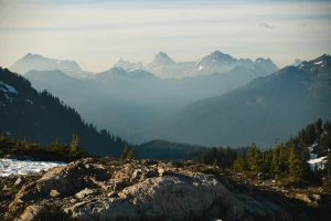 W 2024 można dobrze  robić biznes ale czy za za 10 lat też?